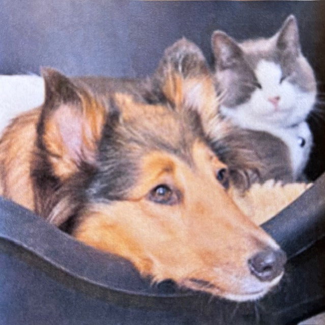 CANIS + FELES und so weiter, Animali, Persone, Calmare, Tranquillo, Avvolgente 10 ml.